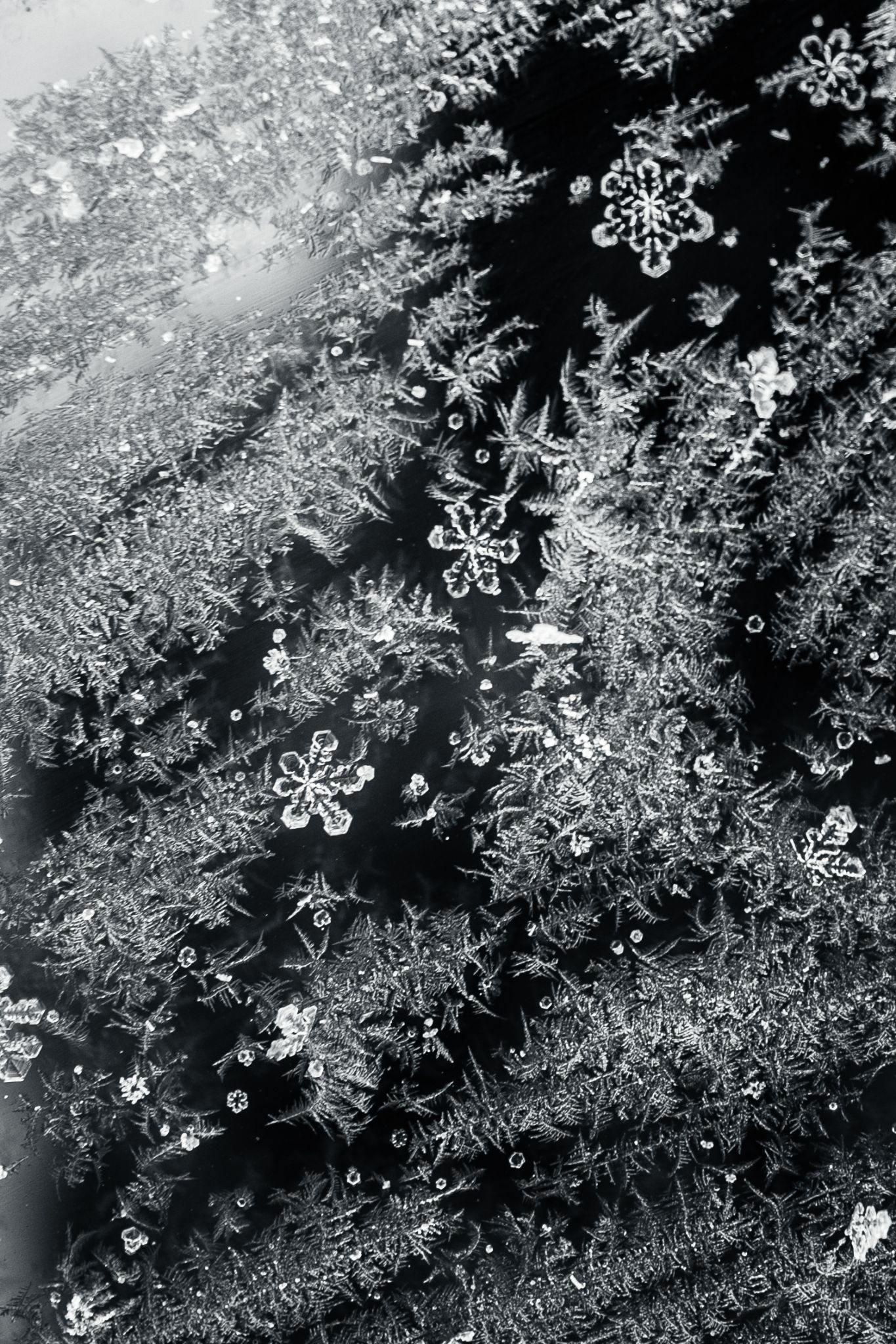 Fusch Winter 2026 29